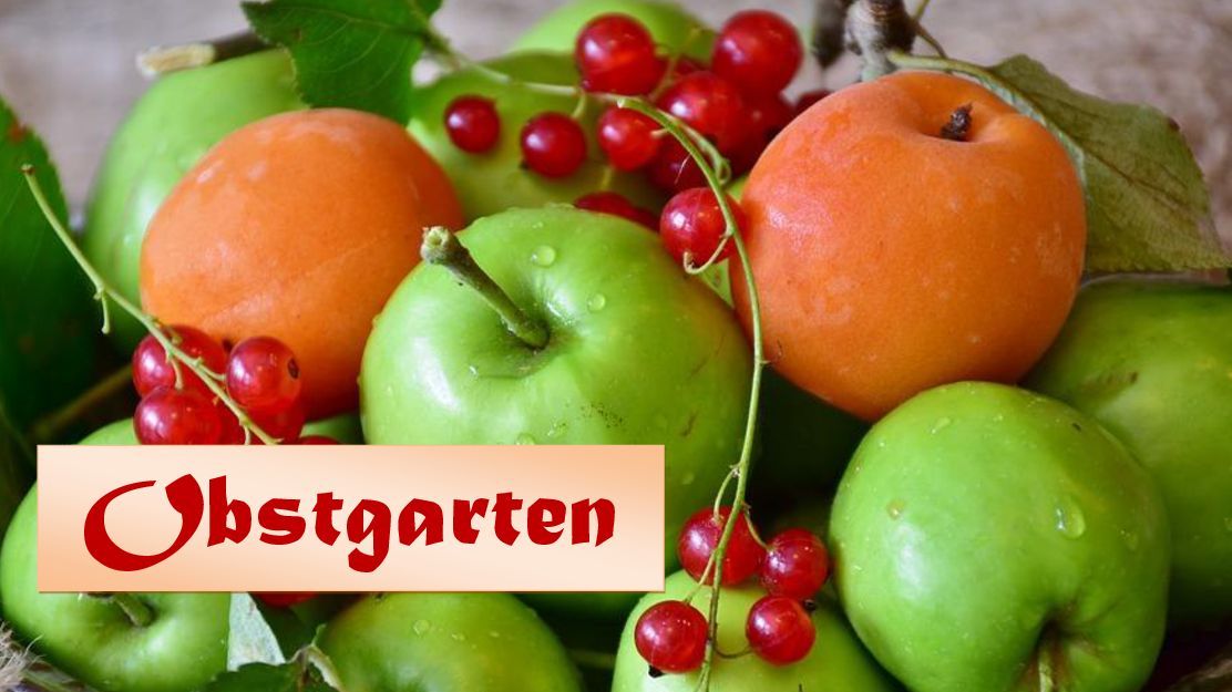 Obstgarten